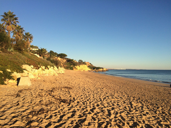 Others 5, Bicos 101 CIP, Albufeira