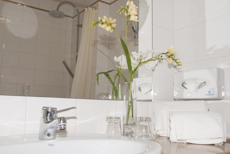 Bathroom 5, Hotel Rainha D. Amelia, Arts & Leisure, Castelo Branco