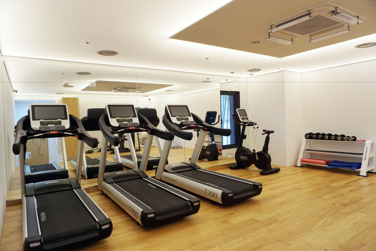 Others 2, Sotetsu Hotels The Splaisir Seoul Myeongdong, Jung