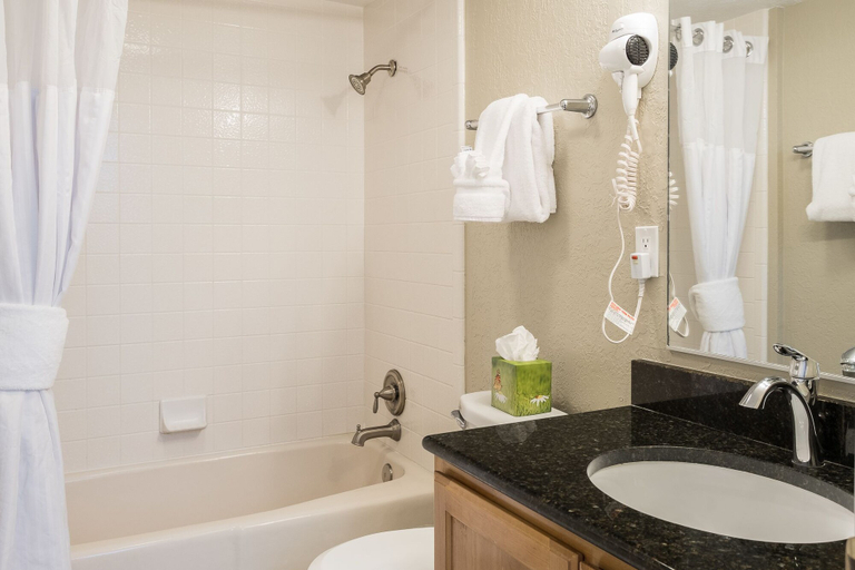 Bathroom 5, Sweetwater Lift Lodge, Summit