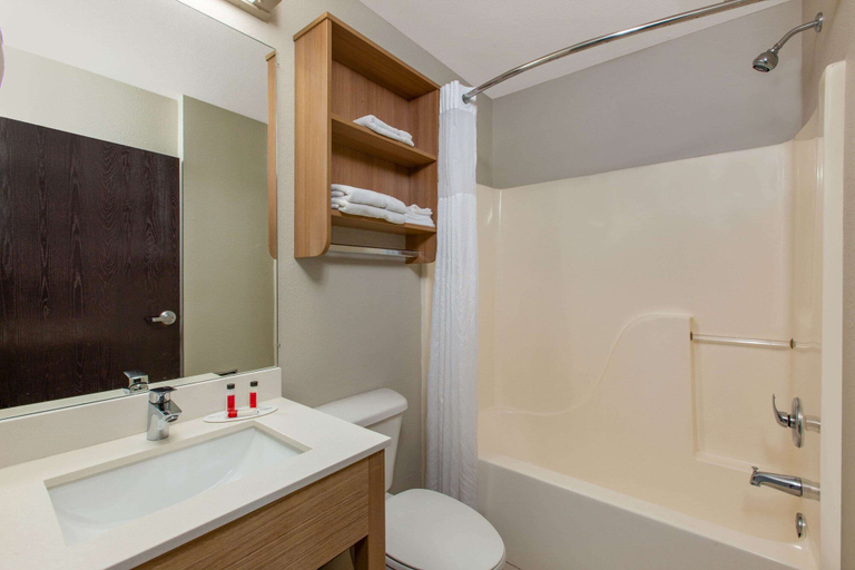 Bathroom 4, Microtel Inn & Suites by Wyndham Augusta/Riverwatch, Richmond