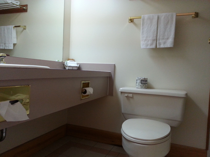 Bathroom 4, Granite Town Hotel, Charlotte
