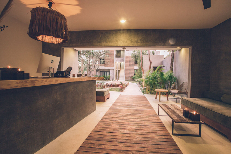 Food & Drinks 5, Panacea Condo Tulum, Cozumel
