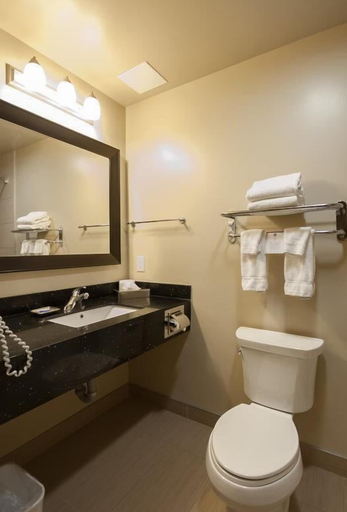 Bathroom 4, Best Western Plus Moose Jaw, Division No. 7