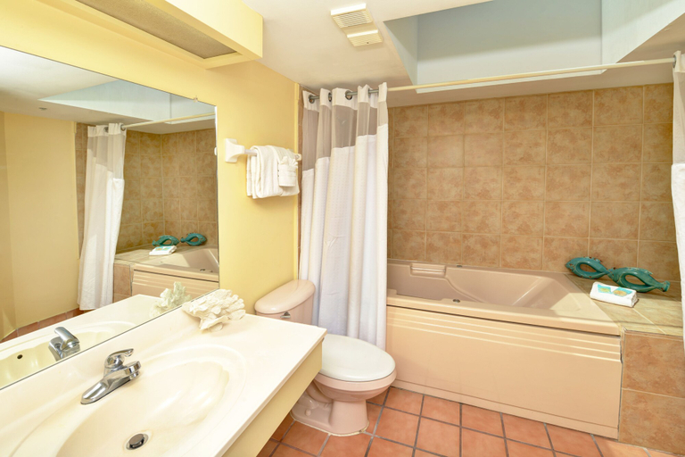Bathroom 5, El Caribe Resort & Conference Center, Volusia