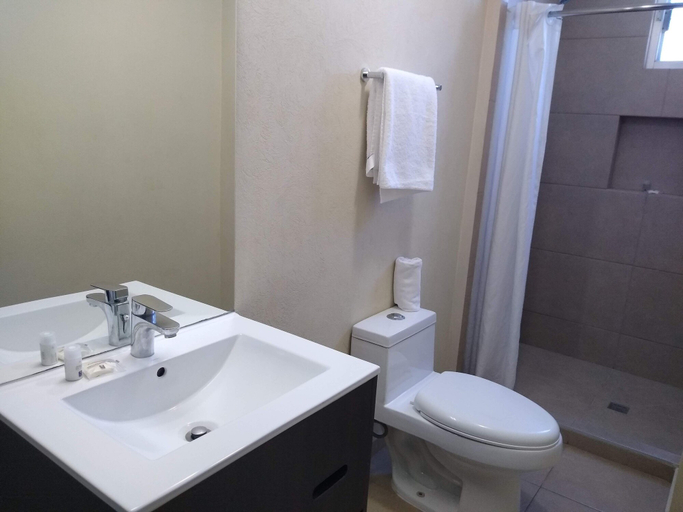 Bathroom 5, Comfort Inn San Luis Potosi, San Luis Potosí
