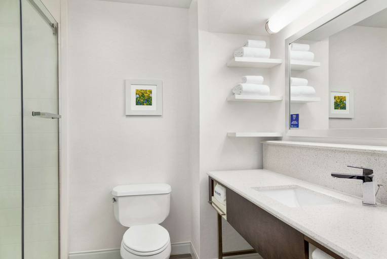 Bathroom 4, Hampton Inn Paris, Lamar