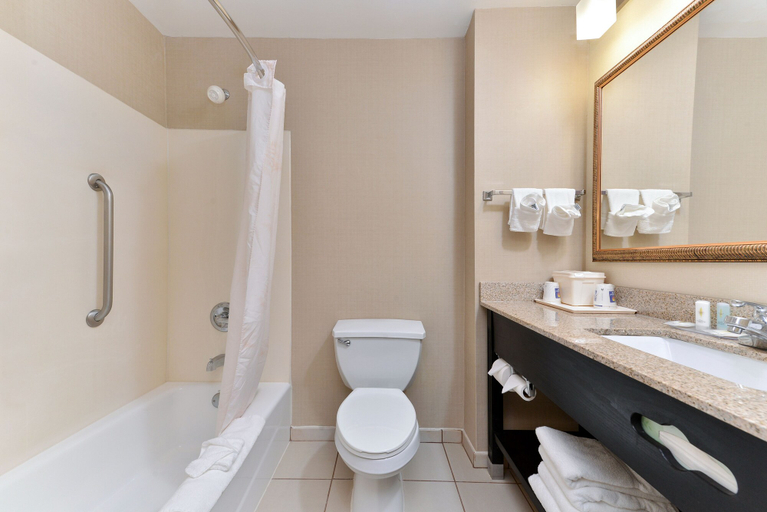 Bathroom 5, Comfort Inn & Suites at Stone Mountain, Gwinnett