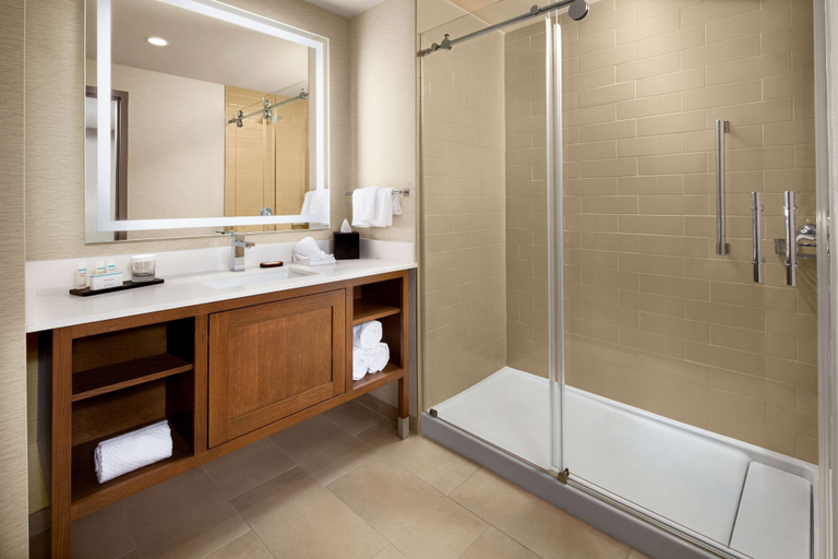 Bathroom 5, Embassy Suites by Hilton South Bend at Notre Dame, Saint Joseph