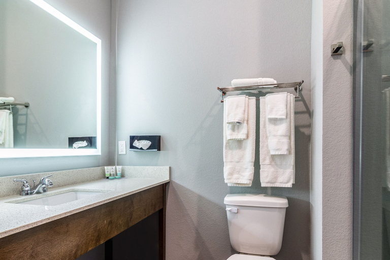 Bathroom 4, Scottish Inns & Suites Houston, TX, Houston