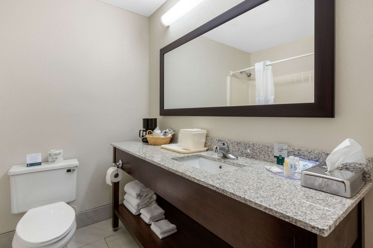 Bathroom 4, Quality Inn & Suites Mountain Home North, Baxter