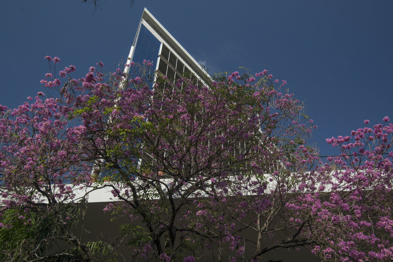 Exterior & Views 2, Hotel Guarani Asuncion, Asunción