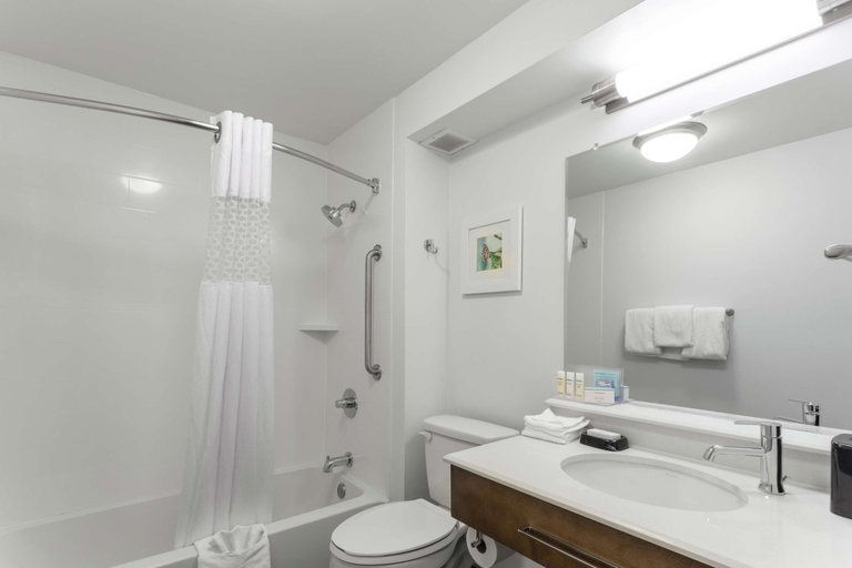 Bathroom 4, Hampton Inn Bloomington, Monroe