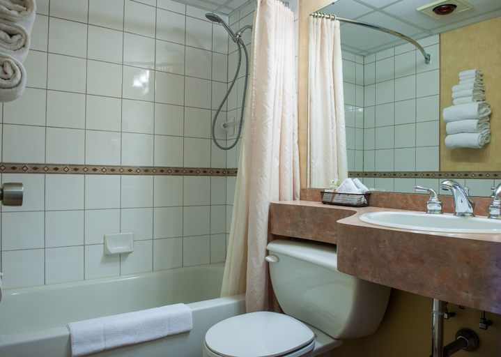 Bathroom 4, Hôtel Castel, La Haute-Yamaska