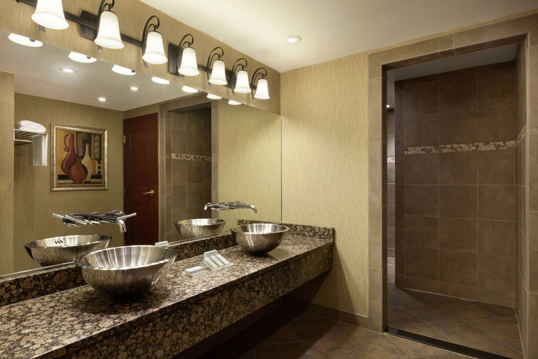 Bathroom 4, Hilton Garden Inn Rochester/Pittsford, Monroe