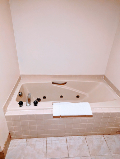 Bathroom 4, Woodfield Inn and Suites, Wood