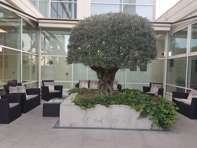 Exterior & Views 2, Hotel Carpi, Modena