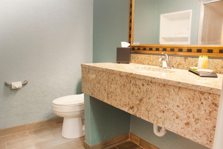 Bathroom 4, Grand Beach Resort Hotel, Grand Traverse
