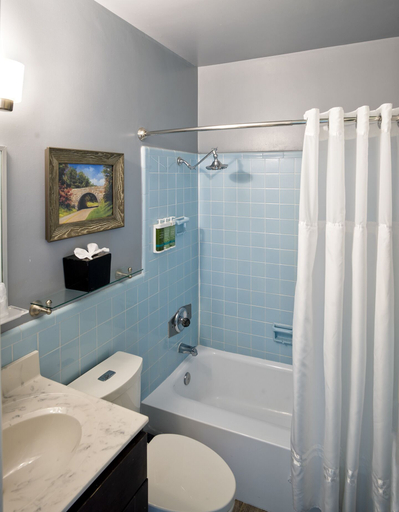 Bathroom 4, Peaks of Otter Lodge, Bedford