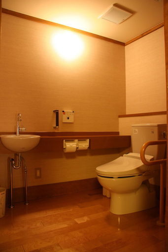Bathroom, Yamaga Onsen Seiryuso, Yamaga