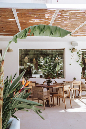 Food & Drinks 5, Hotel Boutique & Spa Las Mimosas Ibiza, Baleares