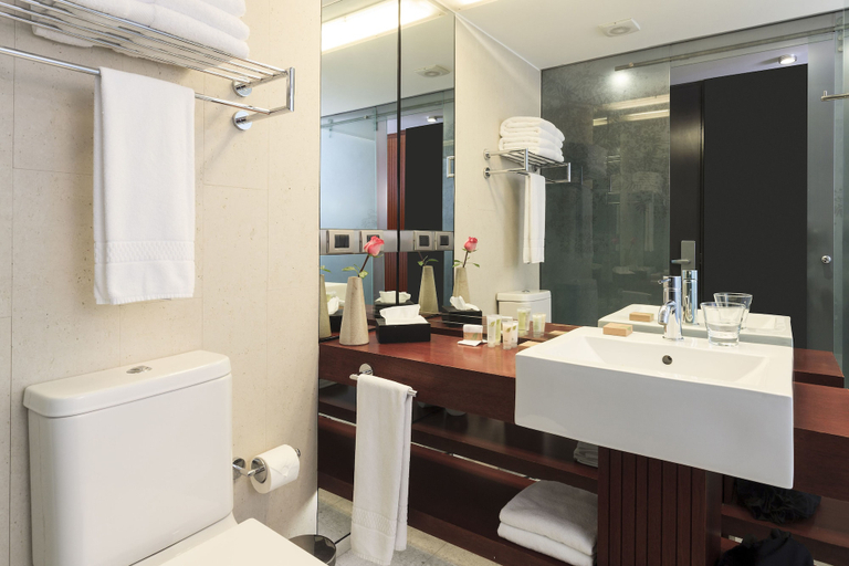 Bathroom 5, Hotel Ismael, Santiago