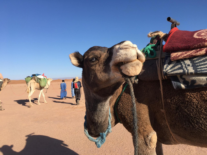 Others 4, Desert Moussa Tours, Ouarzazate