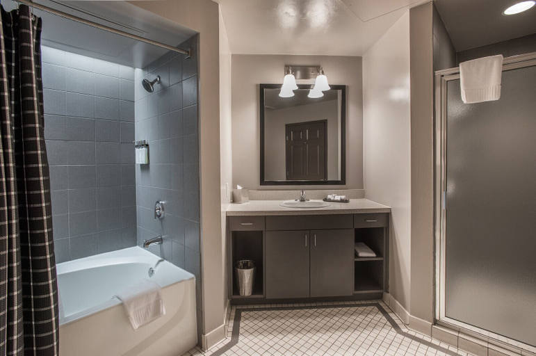 Bathroom 5, Magnolia Hotel Dallas Downtown, Dallas