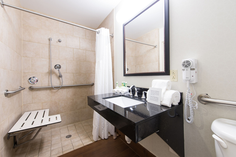 Bathroom 5, Holiday Inn Express & Suites COLUMBIA-I-26 @ HARBISON BLVD by IHG, Lexington