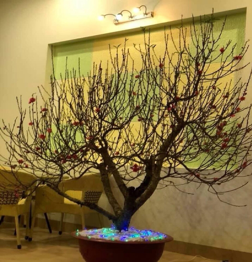 Others 5, Noi Bai Hotel, Sóc Sơn