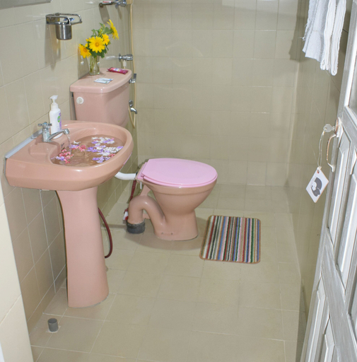 Bathroom 4, Elephant Lovers Inn, Rambukkana