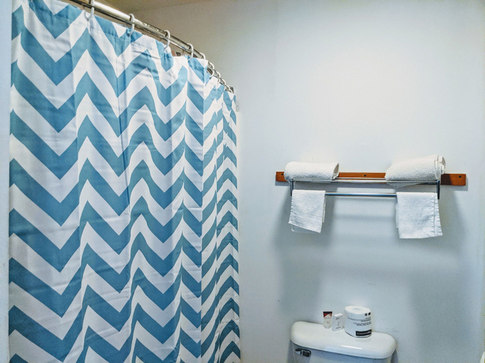 Bathroom 3, Executive Inn Thomson, Carroll