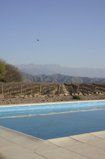 Sport & Beauty 5, Chañarmuyo Hotel de Vino, Famatina