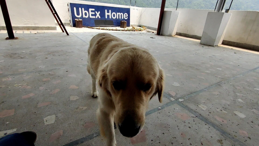 Exterior & Views 2, UbEx Home Rishikesh - Hostel, Garhwal