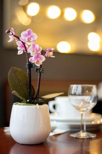 Food & Drinks 4, Eiffel Rive Gauche, Paris