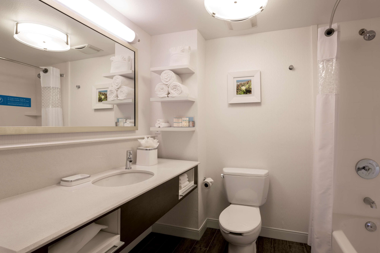 Bathroom 4, Hampton Inn & Suites San Diego-Poway, San Diego