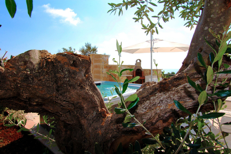 Garden 5, The Dream Residence 241, Lecce