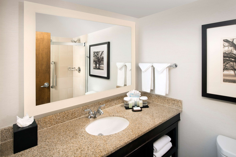 Bathroom 5, Embassy Suites By Hilton Columbus, Franklin