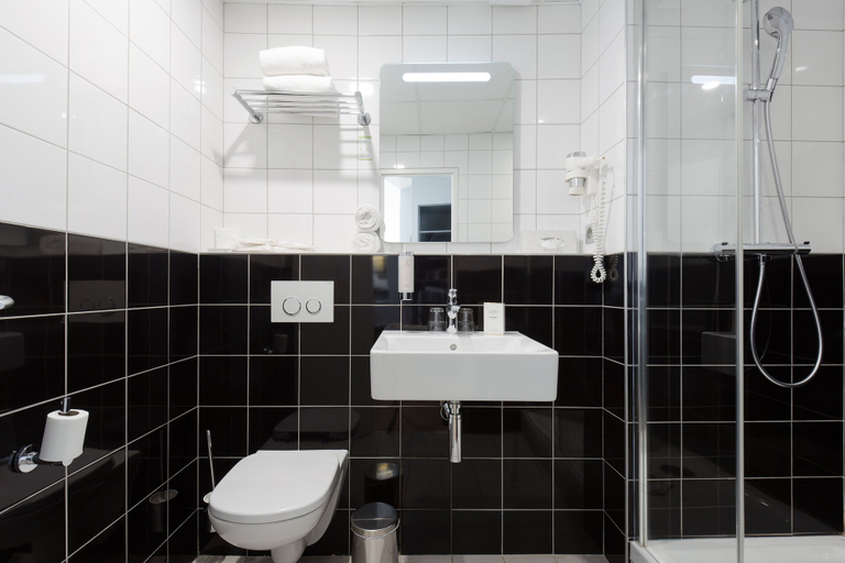 Bathroom 4, Hôtel Albert 1er, Haute-Garonne