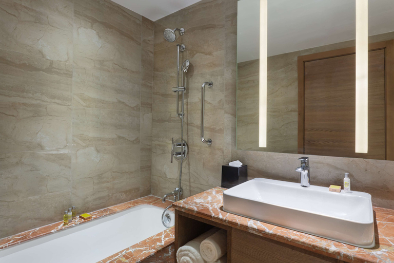 Bathroom 5, Doubletree by Hilton Jaipur Amer, Jaipur