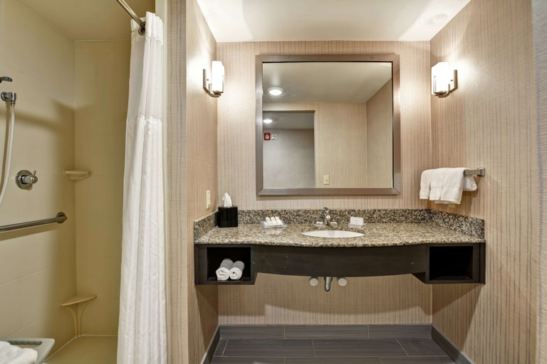 Bathroom 4, Hilton Garden Inn West Little Rock, Pulaski