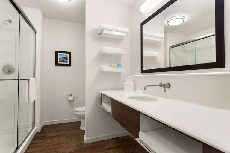 Bathroom 4, Hampton Inn Kennewick at Southridge, Benton