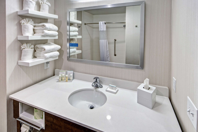 Bathroom 4, Hampton Inn Summerville SC, Berkeley