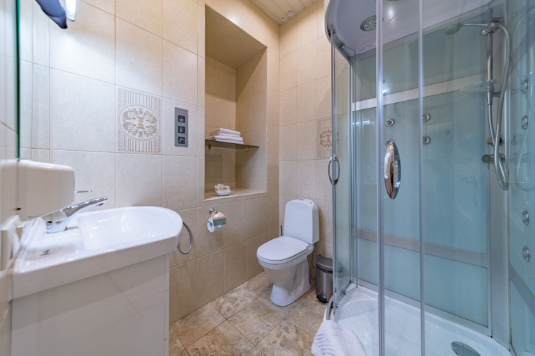 Bathroom 5, Comfort Hotel, Sankt-Peterburg gorsovet
