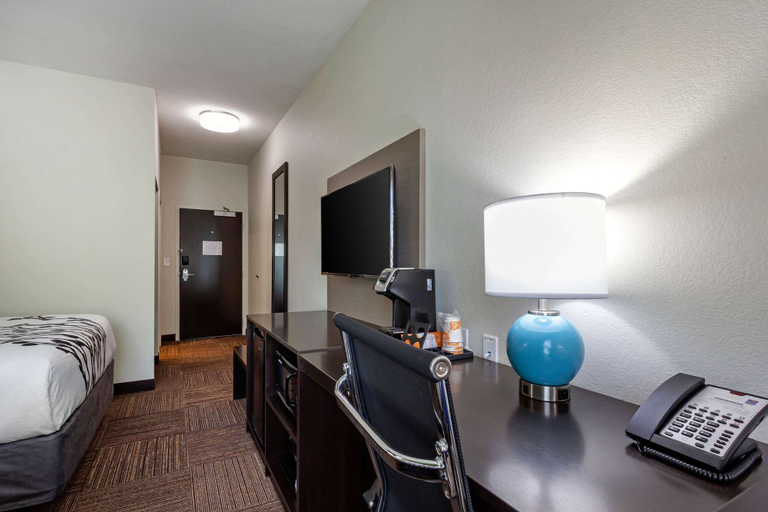 Bedroom 3, Sleep Inn & Suites Tampa South, Hillsborough