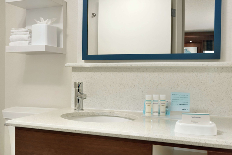 Bathroom 3, Hampton Inn West Des Moines Lake Drive, Dallas