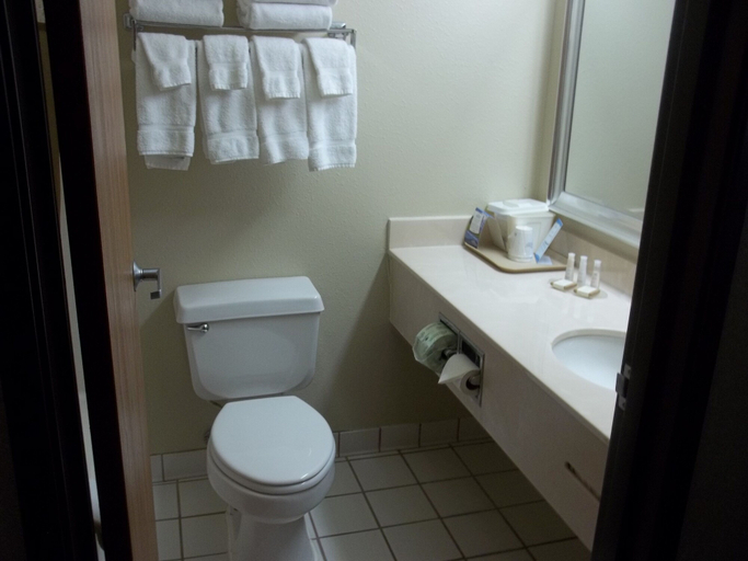 Bathroom 4, Baymont by Wyndham Waterloo, Black Hawk