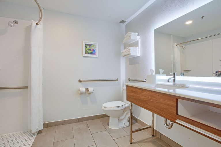 Bathroom 4, Hampton Inn Slidell, Saint Tammany