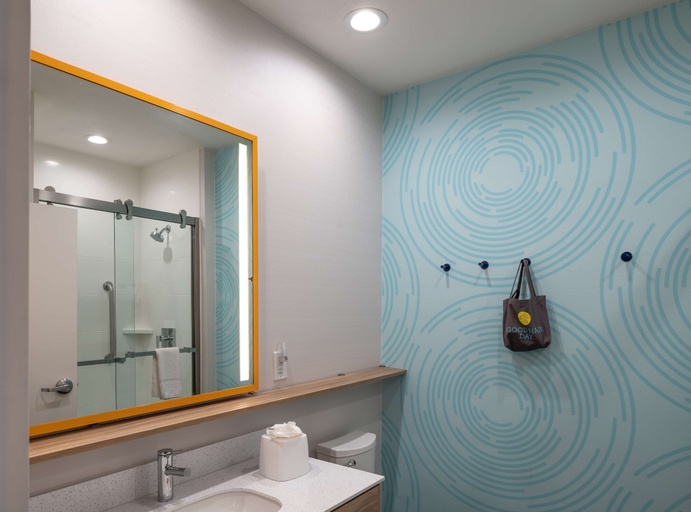 Bathroom 4, Tru by Hilton Garland Richardson, Dallas