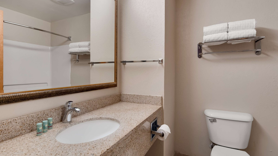 Bathroom 4, Best Western Executive Inn, Dillon